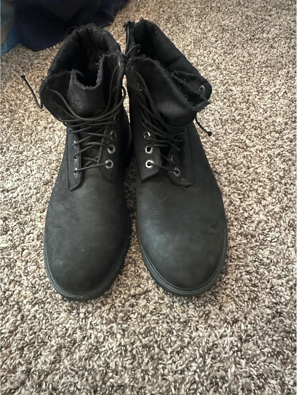 Timberland Men's Premium 6